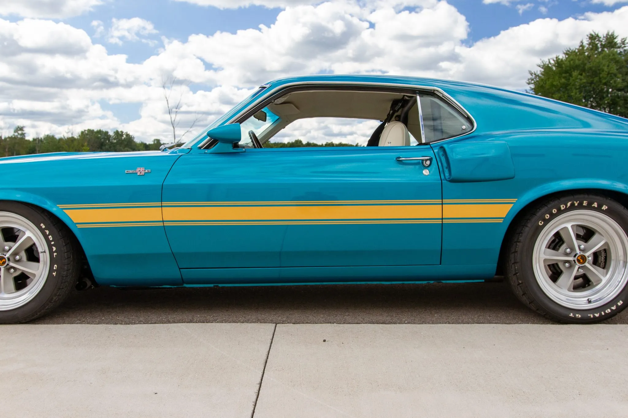 Mustang GT500