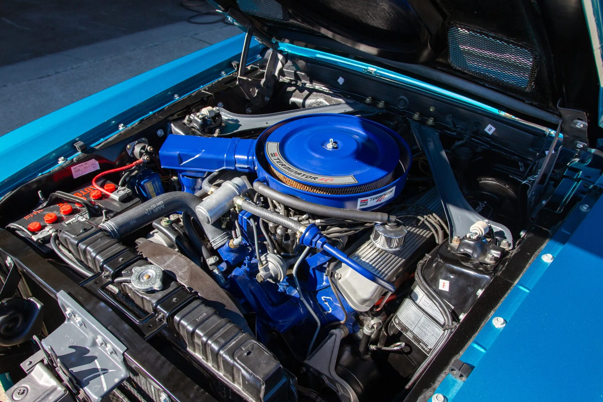 Mustang GT500